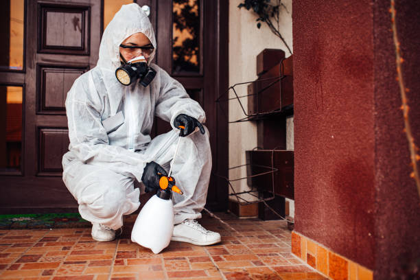 Reliable Wasp Removal contractor in Bangs, TX by Show Me Pest Control